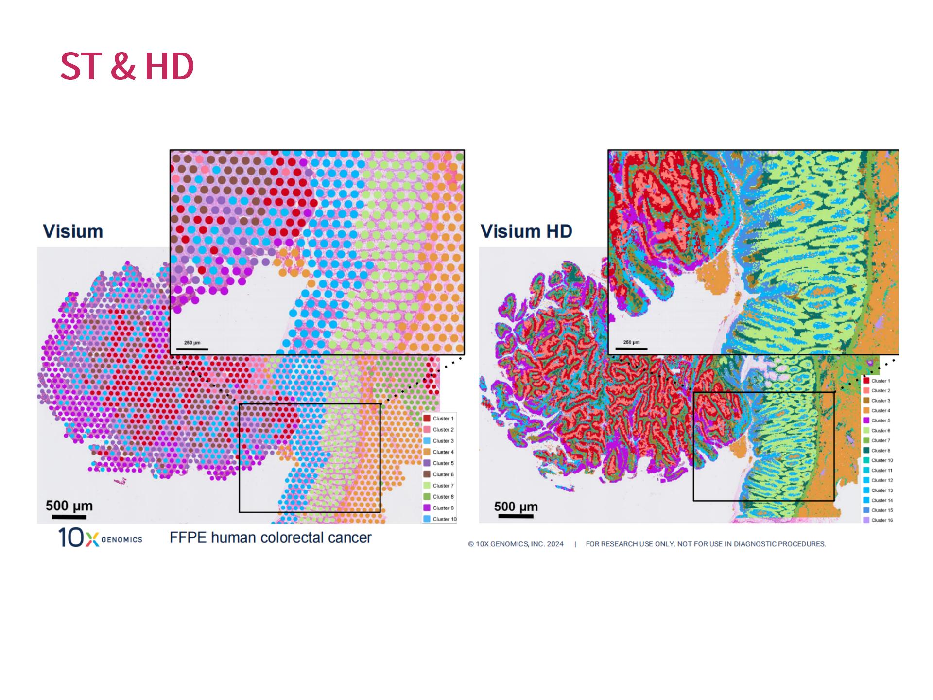 �������Ի�������Ϣ���� (2.25)--_09.jpg